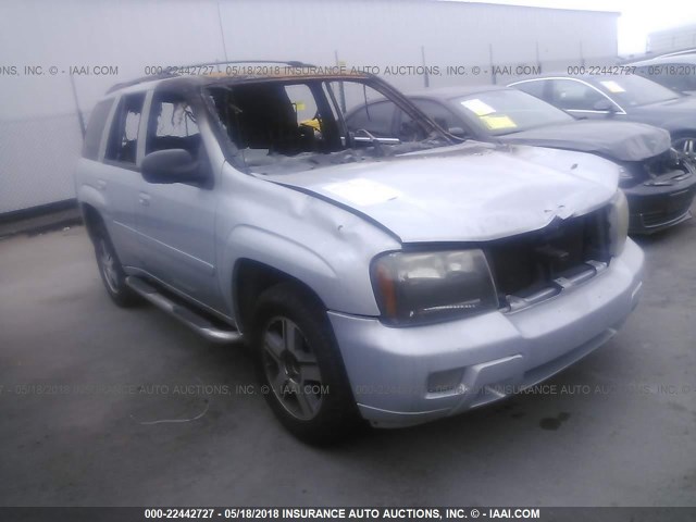 1GNDS13S972222878 - 2007 CHEVROLET TRAILBLAZER LS/LT Light Blue photo 1