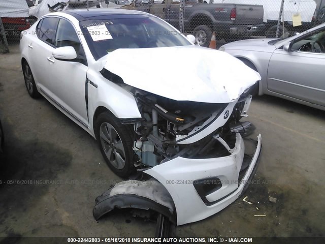 KNAGN4AD4E5062582 - 2014 KIA OPTIMA HYBRID WHITE photo 1