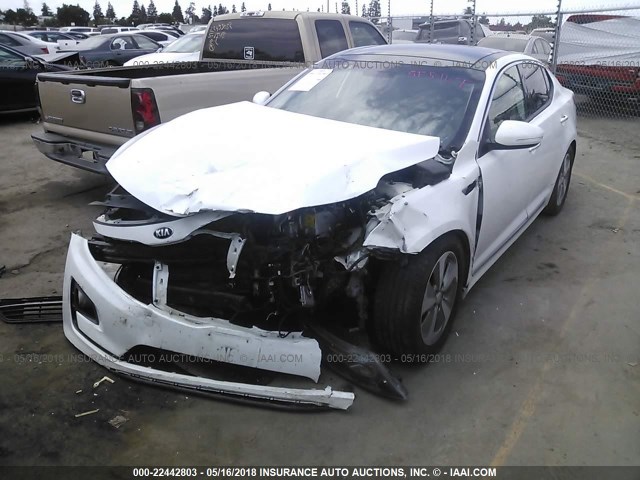 KNAGN4AD4E5062582 - 2014 KIA OPTIMA HYBRID WHITE photo 2