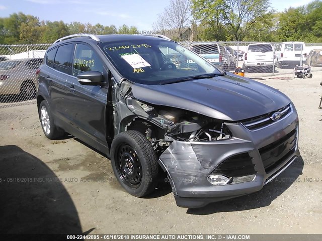 1FMCU0JX3EUA28075 - 2014 FORD ESCAPE TITANIUM GRAY photo 1