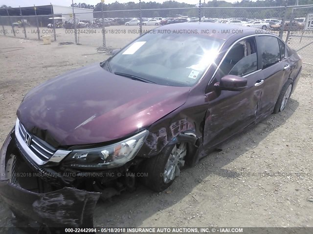 1HGCR2F81EA173055 - 2014 HONDA ACCORD EXL BURGUNDY photo 2