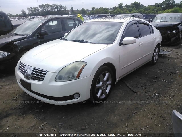 1N4BA41E64C828457 - 2004 NISSAN MAXIMA SE/SL WHITE photo 2