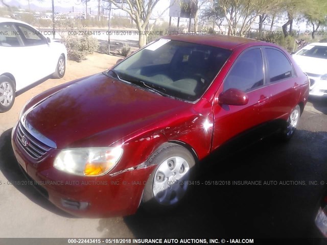 KNAFE122475460062 - 2007 KIA SPECTRA EX/LX RED photo 2