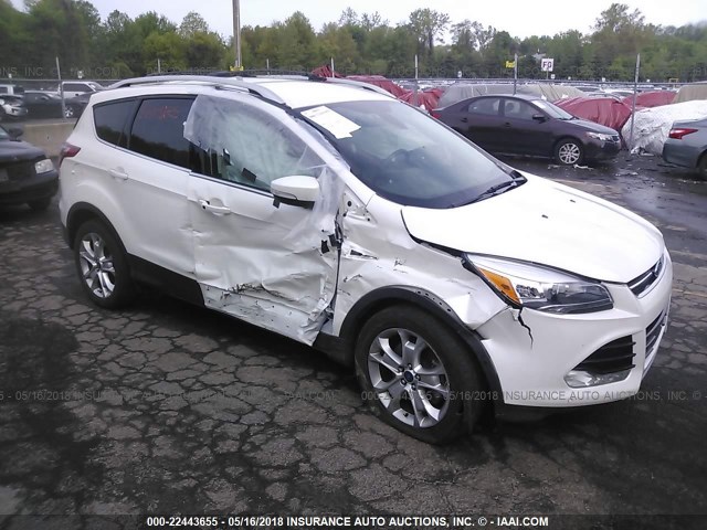 1FMCU9J95EUA73203 - 2014 FORD ESCAPE TITANIUM WHITE photo 1