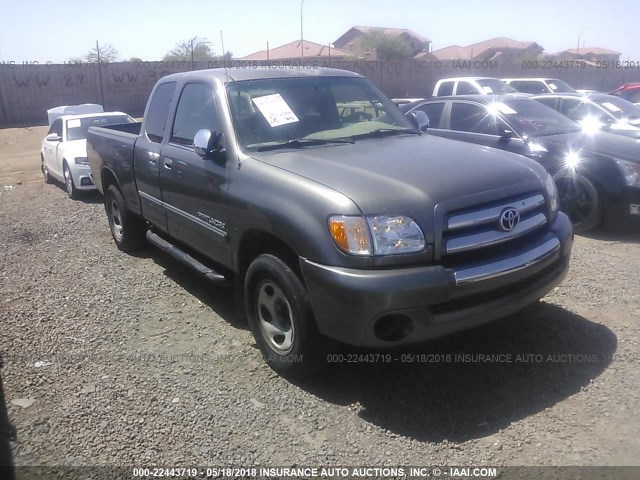 5TBRN34113S389075 - 2003 TOYOTA TUNDRA ACCESS CAB SR5 GRAY photo 1