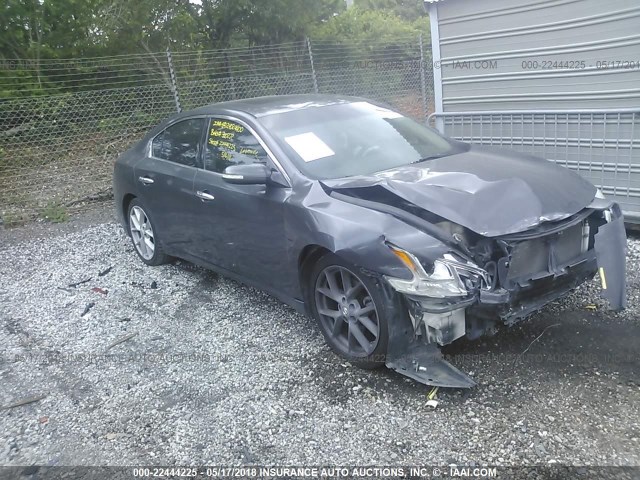 1N4AA51E99C830874 - 2009 NISSAN MAXIMA S/SV GRAY photo 1