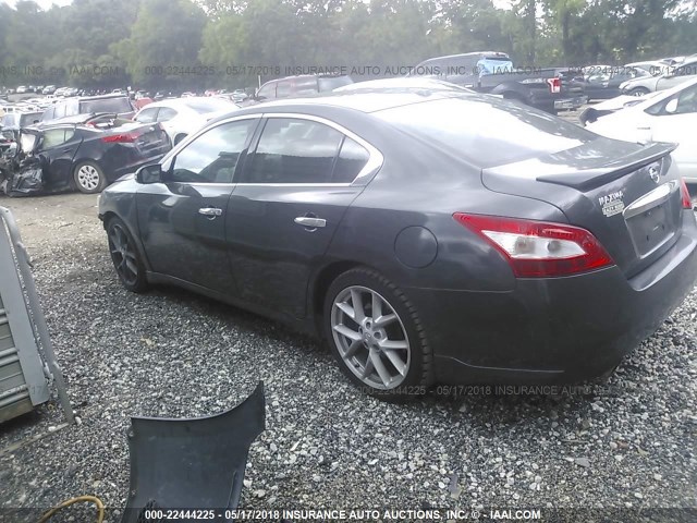 1N4AA51E99C830874 - 2009 NISSAN MAXIMA S/SV GRAY photo 3