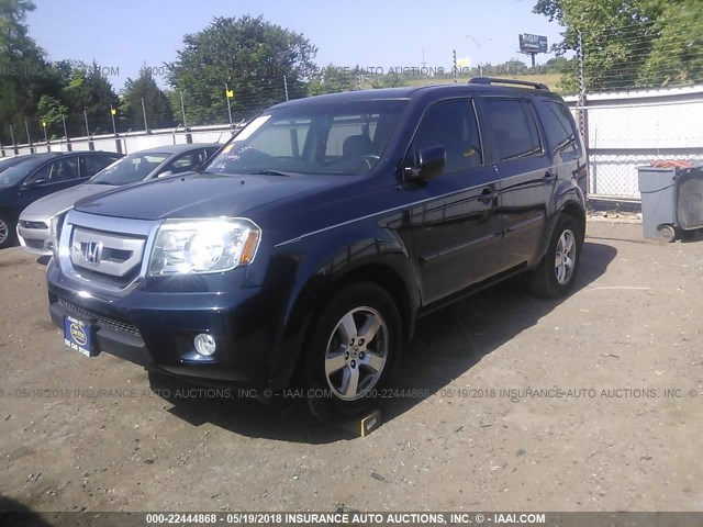 5FNYF3H57BB058226 - 2011 HONDA PILOT EXL BLUE photo 2