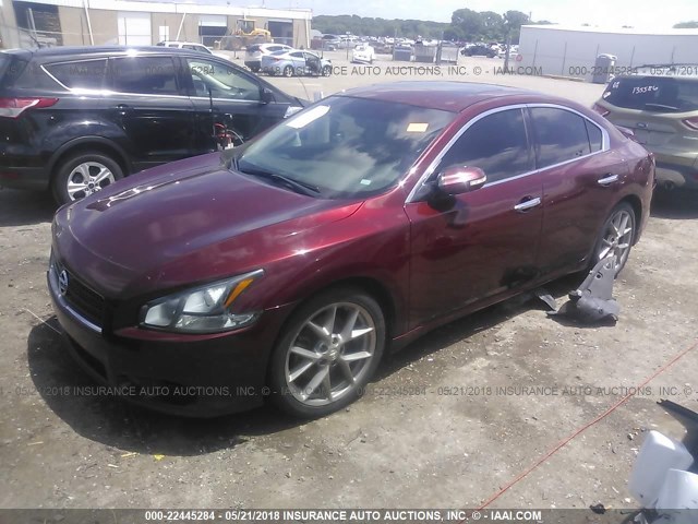 1N4AA5AP4BC843023 - 2011 NISSAN MAXIMA S/SV BURGUNDY photo 2