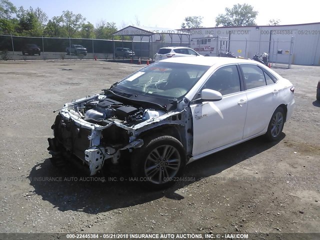 4T1BF1FK3FU031200 - 2015 TOYOTA CAMRY LE/XLE/SE/XSE WHITE photo 2