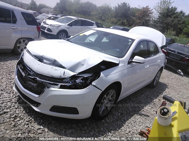 1G11C5SL0EF128252 - 2014 CHEVROLET MALIBU 1LT თეთრი ფოტო 2