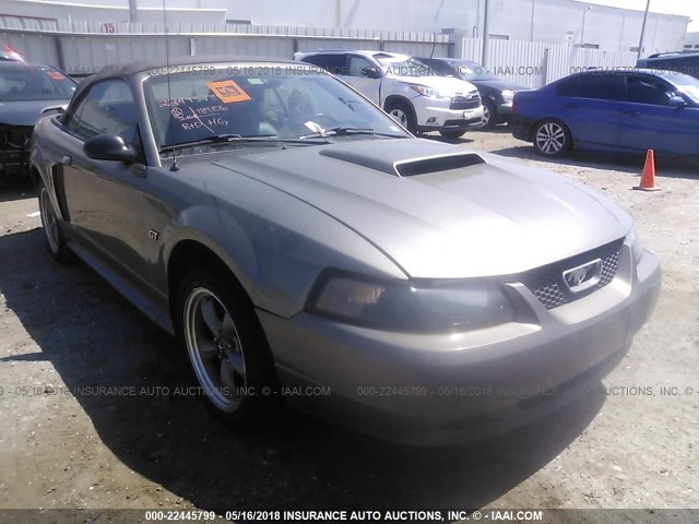 1FAFP45X12F235354 - 2002 FORD MUSTANG GT GRAY photo 1
