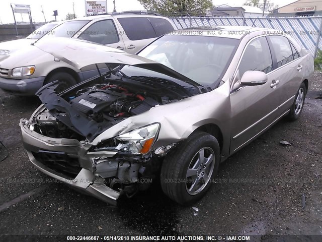 JHMCN36516C003188 - 2006 HONDA ACCORD HYBRID GOLD photo 2