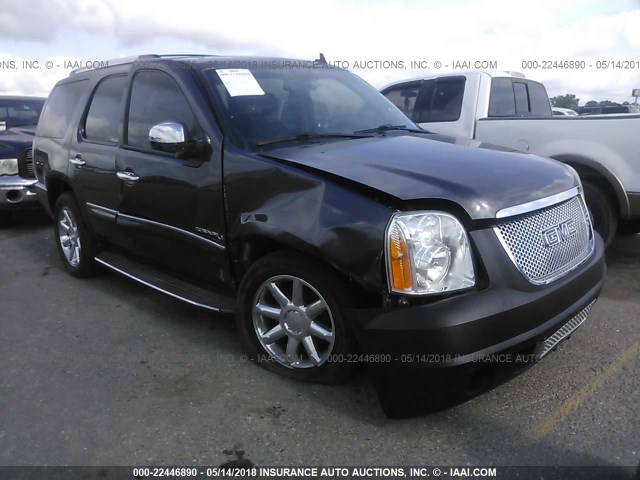 1GKS1EEF1BR300584 - 2011 GMC YUKON DENALI TAN photo 1