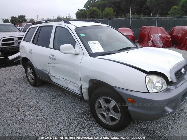 KM8SB12B93U520391 - 2003 HYUNDAI SANTA FE GL WHITE photo 6