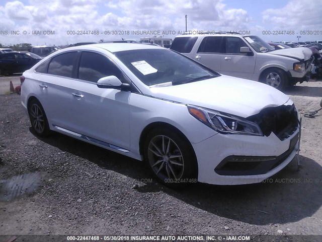 5NPE34AB6FH240542 - 2015 HYUNDAI SONATA SPORT/LIMITED WHITE photo 1