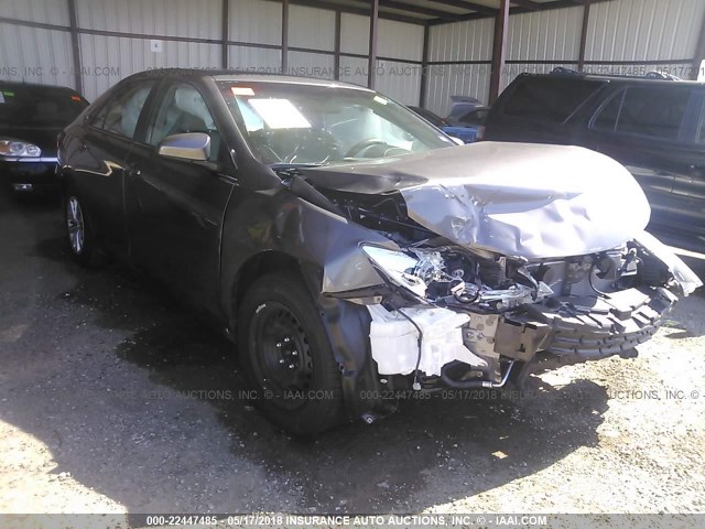 4T1BF1FK5HU419175 - 2017 TOYOTA CAMRY LE/XLE/SE/XSE SILVER photo 1