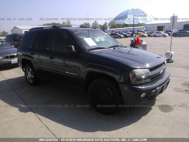 1GNDT13SX42422483 - 2004 CHEVROLET TRAILBLAZER LS/LT GRAY photo 1