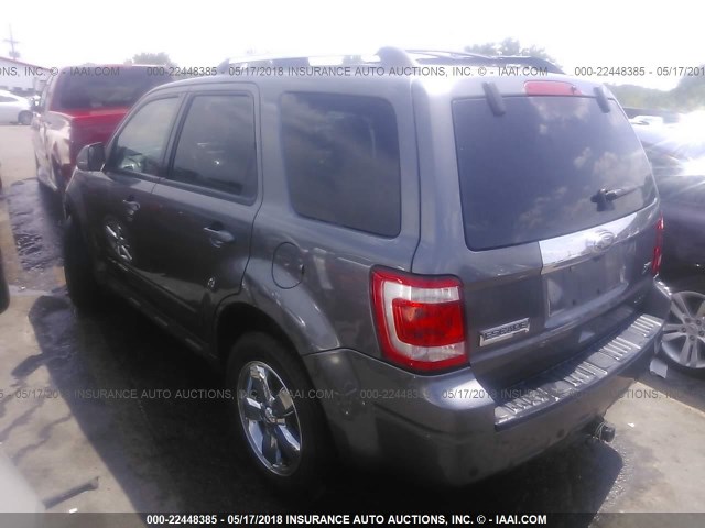 1FMCU0EGXAKA41695 - 2010 FORD ESCAPE LIMITED GRAY photo 3