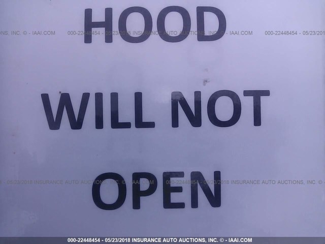 3VWDD21C42M405432 - 2002 VOLKSWAGEN NEW BEETLE GLX 绿色 照片 10