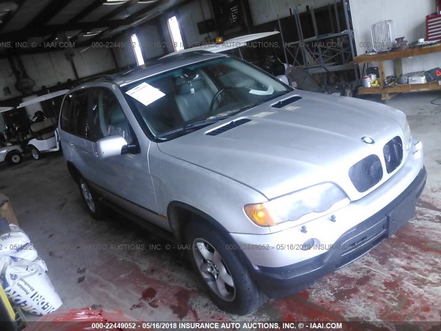 5UXFA53512LP57422 - 2002 BMW X5 3.0I SILVER photo 1