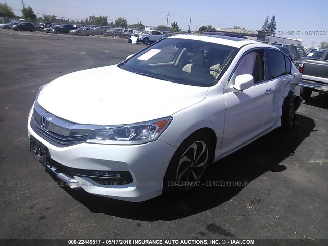 1HGCR2F96HA015677 - 2017 HONDA ACCORD EXL WHITE photo 2