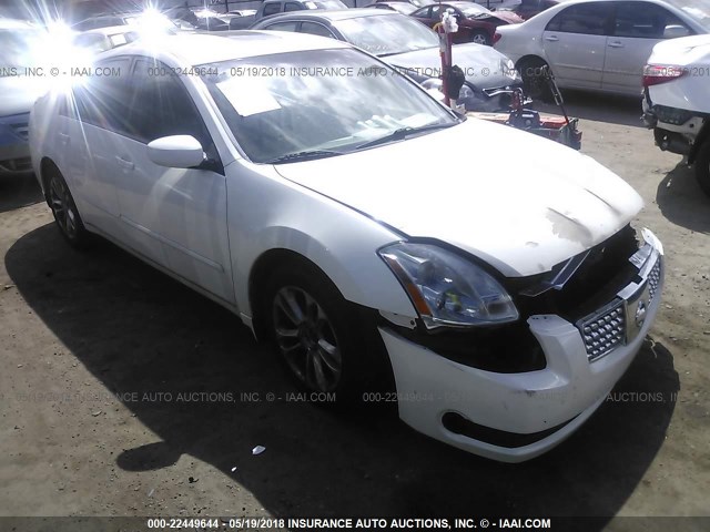 1N4BA41E64C863967 - 2004 NISSAN MAXIMA SE/SL WHITE photo 1