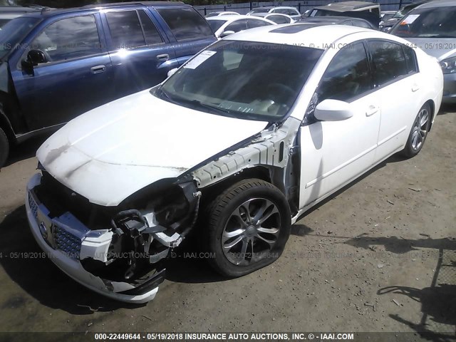 1N4BA41E64C863967 - 2004 NISSAN MAXIMA SE/SL WHITE photo 2