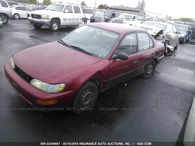 1NXAE09B1RZ158021 - 1994 TOYOTA COROLLA LE/DX MAROON photo 2