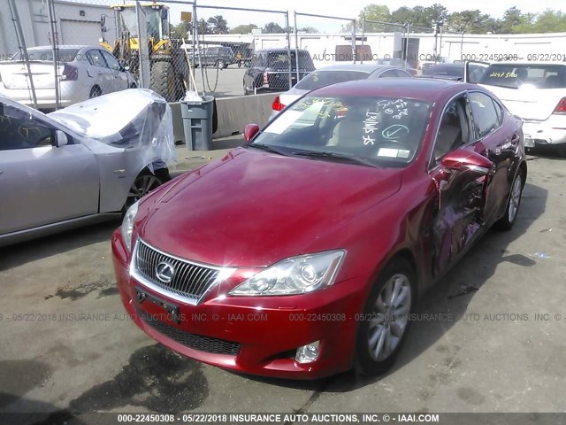 JTHCK262892031878 - 2009 LEXUS IS 250 RED photo 2