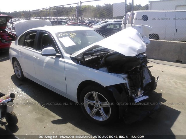 WBA3C3G55FNS75749 - 2015 BMW 320 I/XDRIVE WHITE photo 1