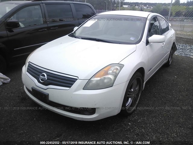 1N4CL21E67C225578 - 2007 NISSAN ALTIMA HYBRID WHITE photo 2