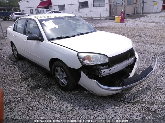 1G1ZT52895F314063 - 2005 CHEVROLET MALIBU LS WHITE photo 1