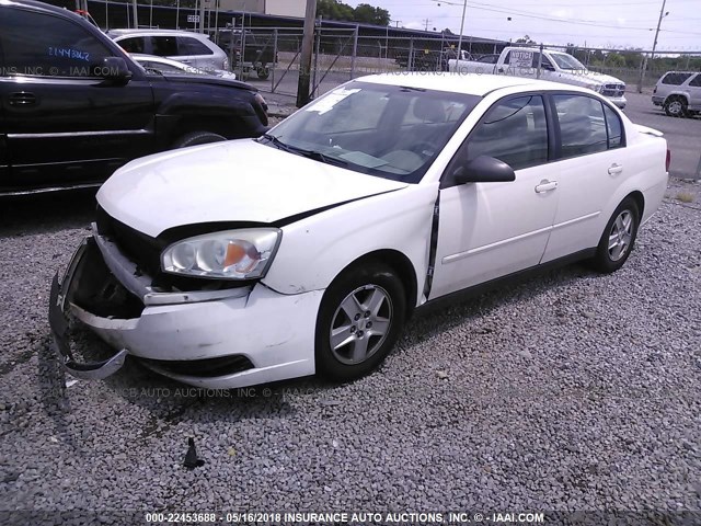 1G1ZT52895F314063 - 2005 CHEVROLET MALIBU LS WHITE photo 2