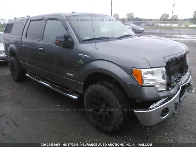 1FTFW1ET5BFB74762 - 2011 FORD F150 SUPERCREW GRAY photo 1