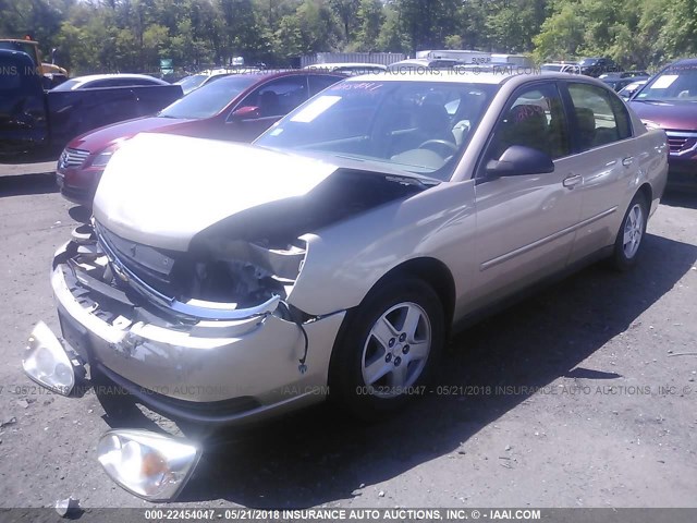 1G1ZT54845F283530 - 2005 CHEVROLET MALIBU LS 金色 照片 2
