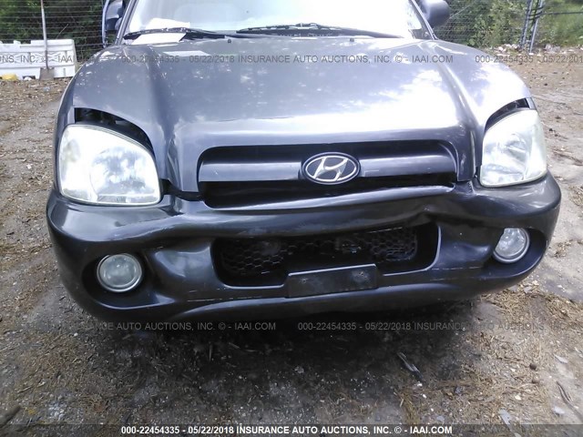 KM8SC13D76U042408 - 2006 HYUNDAI SANTA FE GLS/LIMITED GRAY photo 6