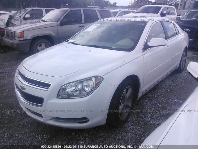 1G1ZC5EU8BF391057 - 2011 CHEVROLET MALIBU 1LT 白色 照片 2