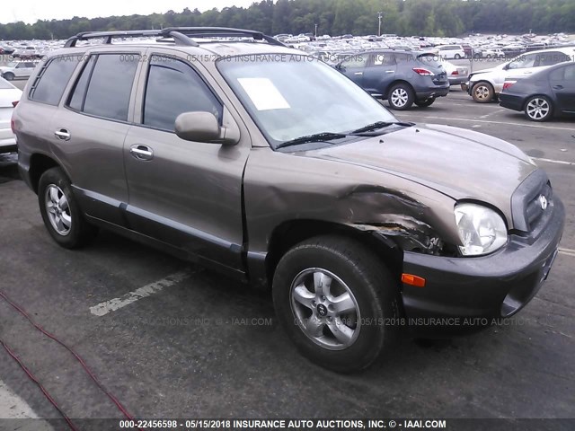 KM8SC13E85U957713 - 2005 HYUNDAI SANTA FE GLS/LX GOLD photo 1