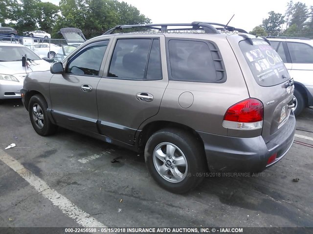 KM8SC13E85U957713 - 2005 HYUNDAI SANTA FE GLS/LX GOLD photo 3