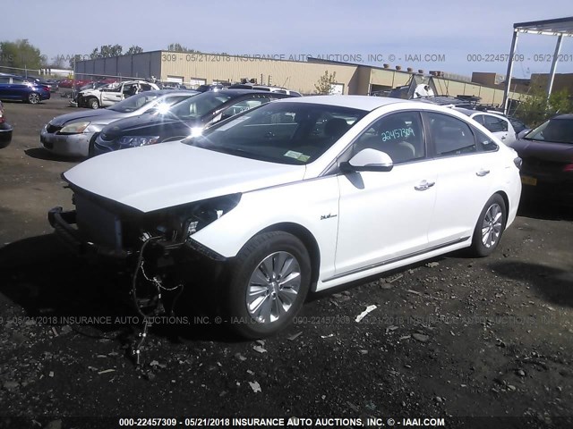 KMHE24L12HA059564 - 2017 HYUNDAI SONATA HYBRID/SE WHITE photo 2