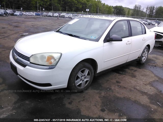 1G1ZT54845F289263 - 2005 CHEVROLET MALIBU LS 白色 照片 2