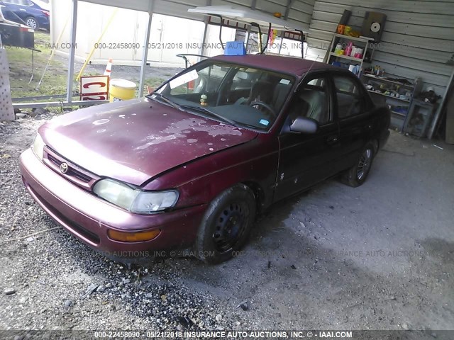 1NXBB02E9TZ415810 - 1996 TOYOTA COROLLA DX RED photo 2