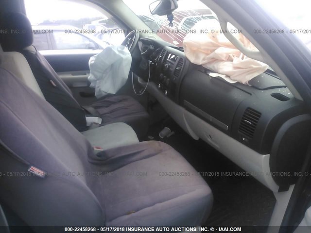 2GCEC13C981250409 - 2008 CHEVROLET SILVERADO C1500 მუქწითელი ფოტო 5