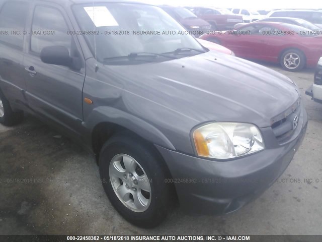 4F2YZ94153KM20989 - 2003 MAZDA TRIBUTE LX GRAY photo 6