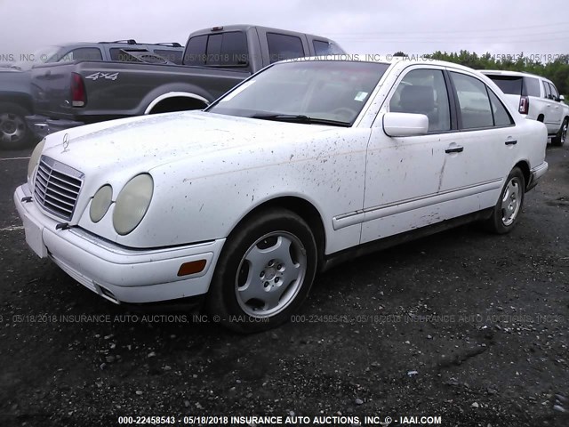 WDBJF70H6XA823424 - 1999 MERCEDES-BENZ E 430 WHITE photo 2