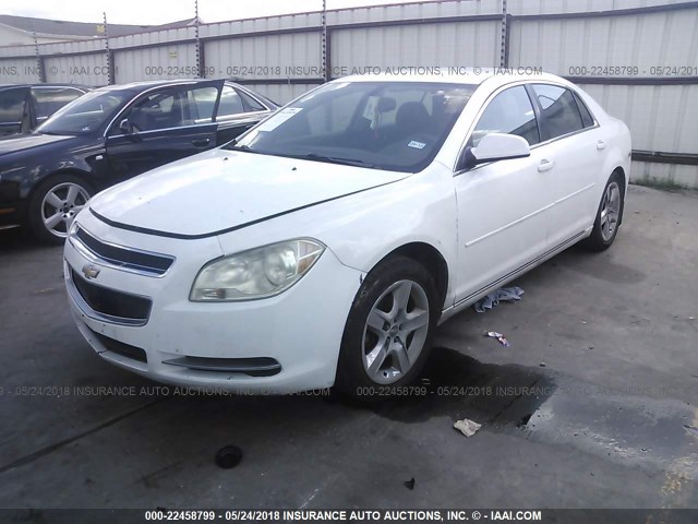 1G1ZC5EB1AF301096 - 2010 CHEVROLET MALIBU 1LT 白色 照片 2