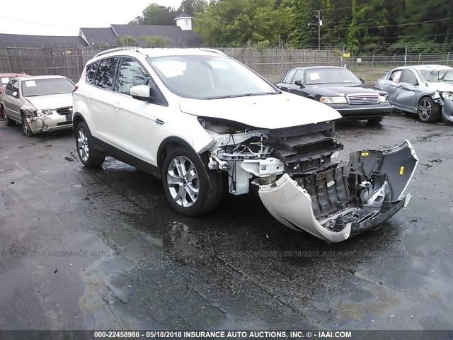 1FMCU0JXXEUB78703 - 2014 FORD ESCAPE TITANIUM WHITE photo 1