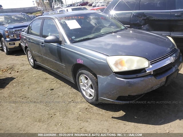 1G1ZT54874F244817 - 2004 CHEVROLET MALIBU LS ნაცრისფერი ფოტო 1