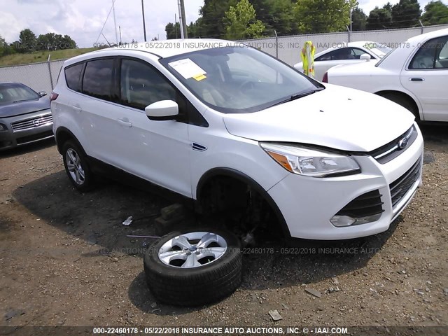 1FMCU0GX0DUA60729 - 2013 FORD ESCAPE SE WHITE photo 1